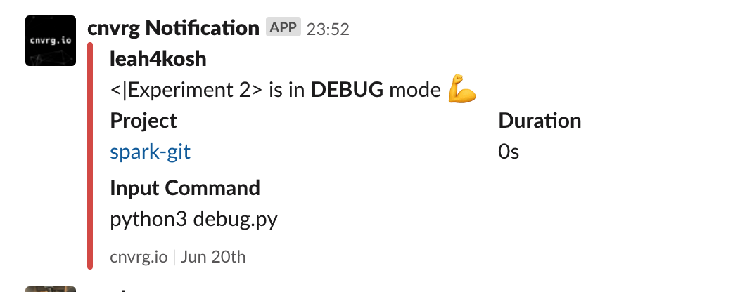 Debug Experiment