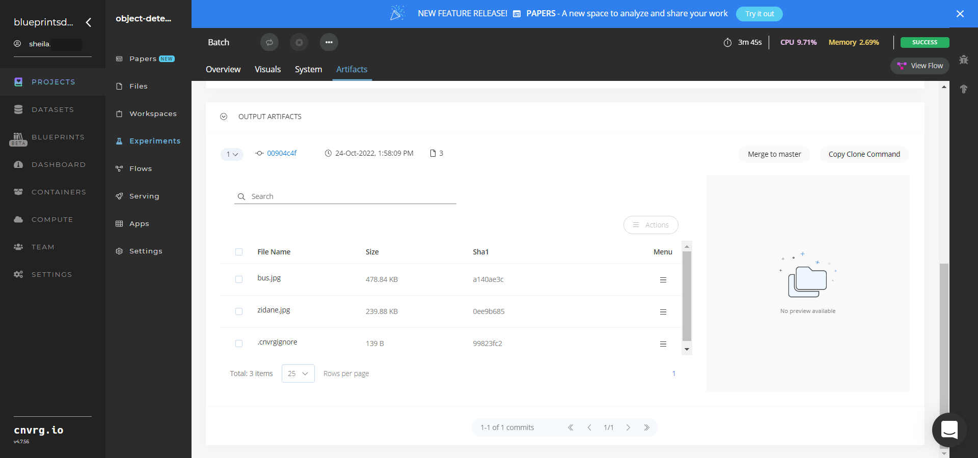 Output Artifacts