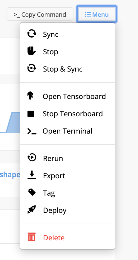 TensorBoard / Terminal